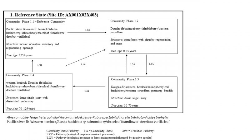 Model diagram