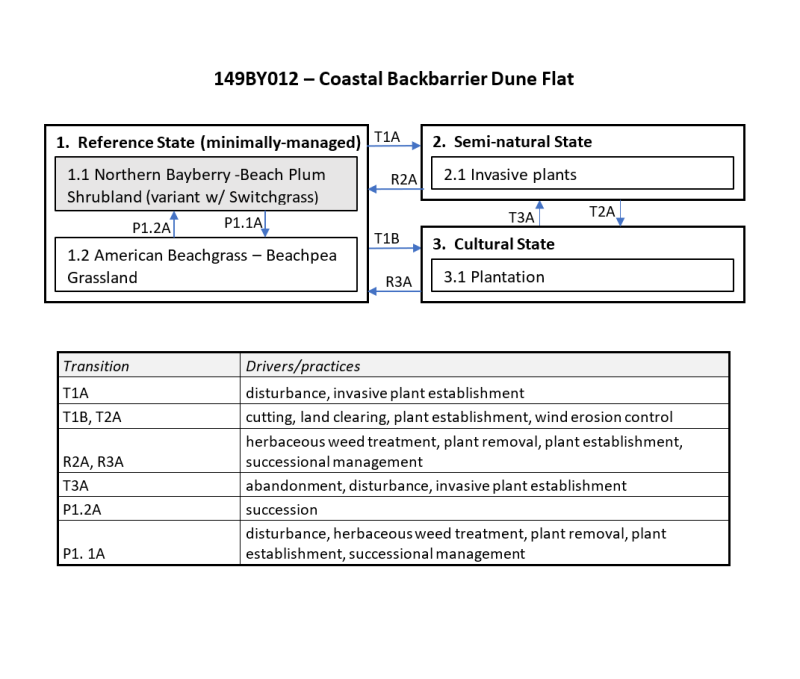 Model diagram