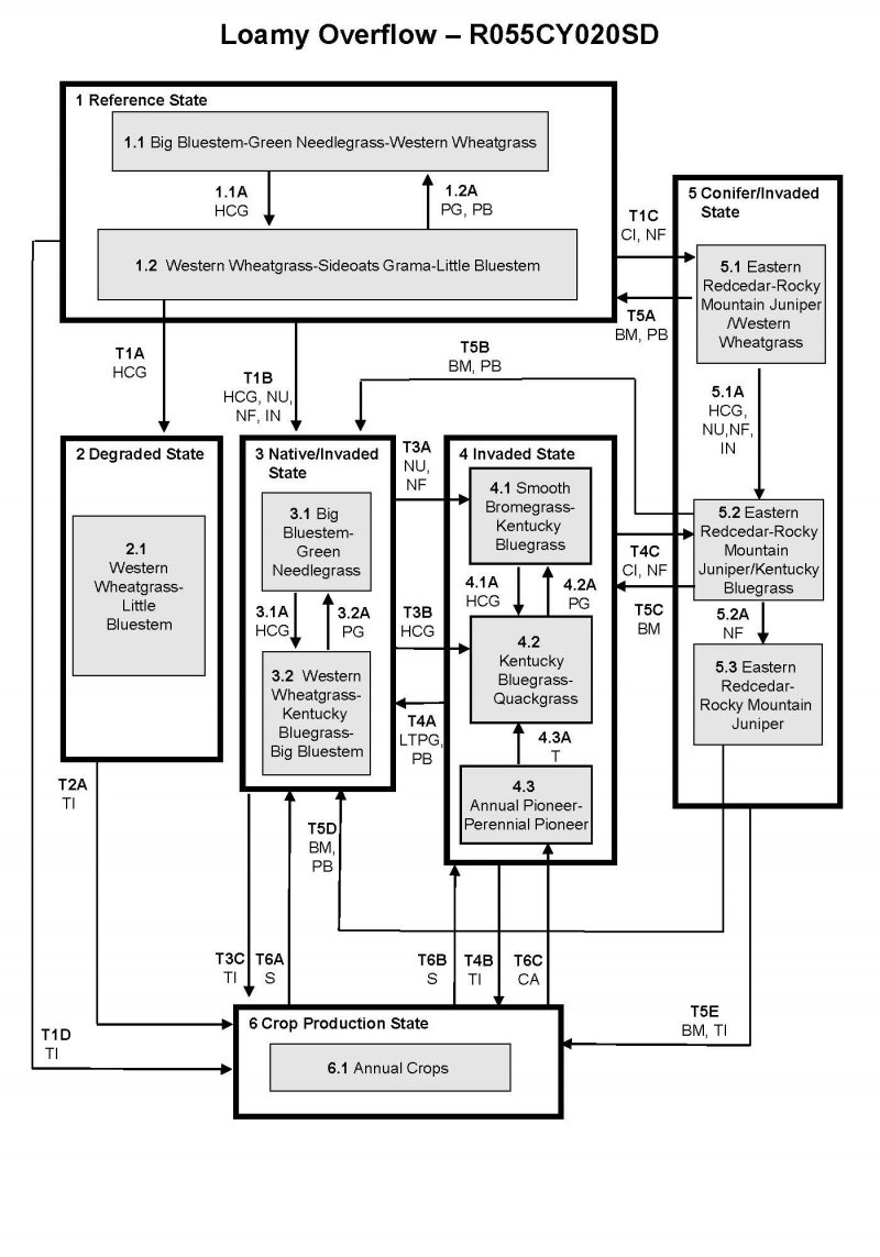 Model diagram
