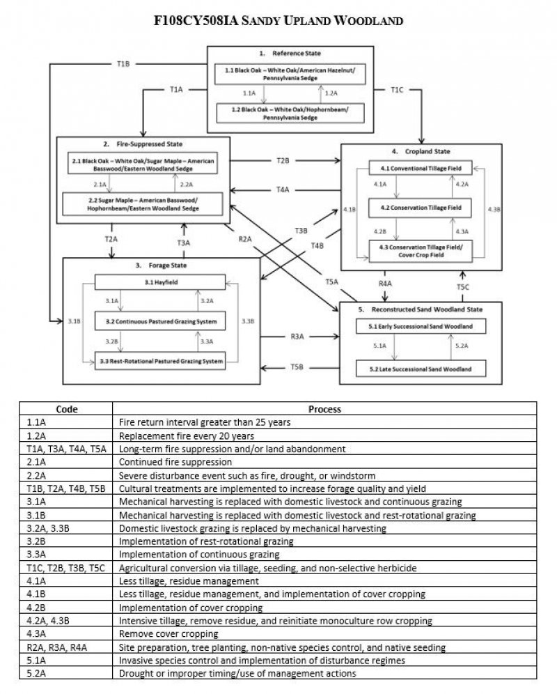 Model diagram