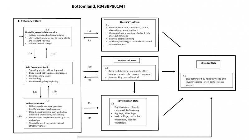 Model diagram