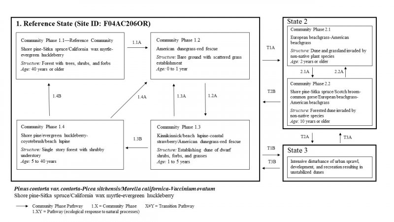 Model diagram