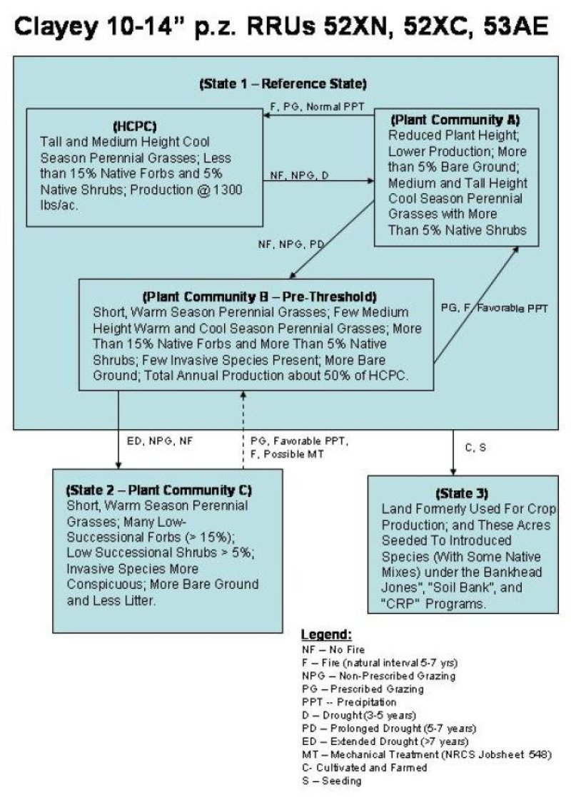 Model diagram