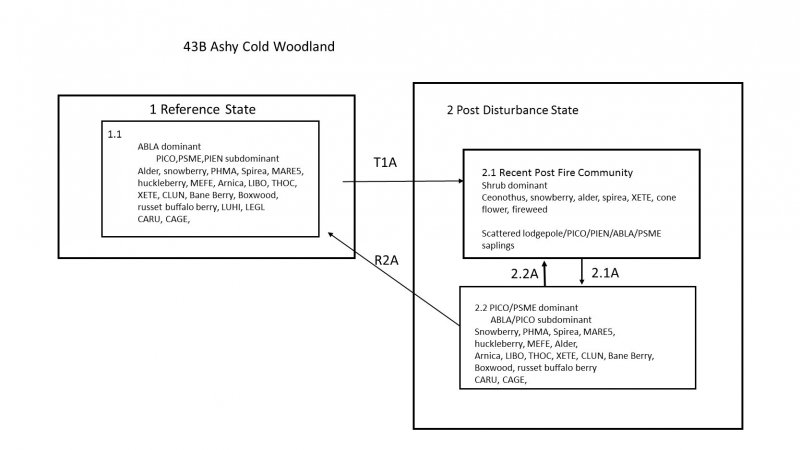 Model diagram