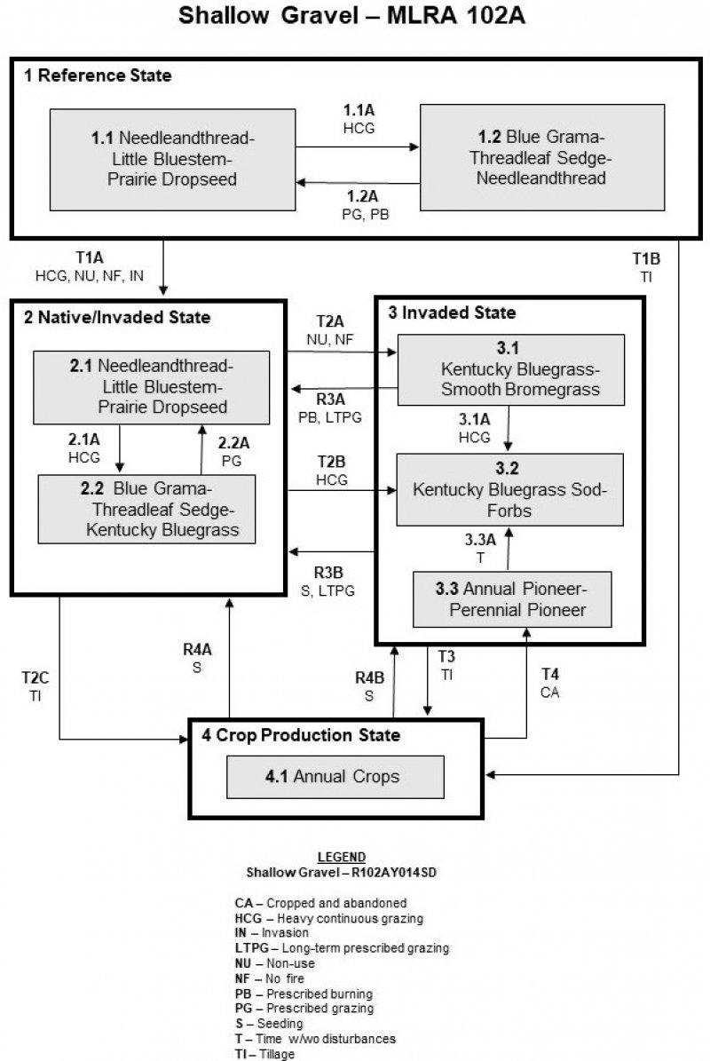 Model diagram