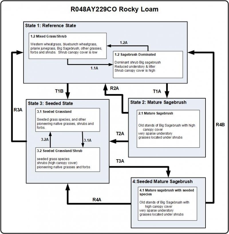 Model diagram