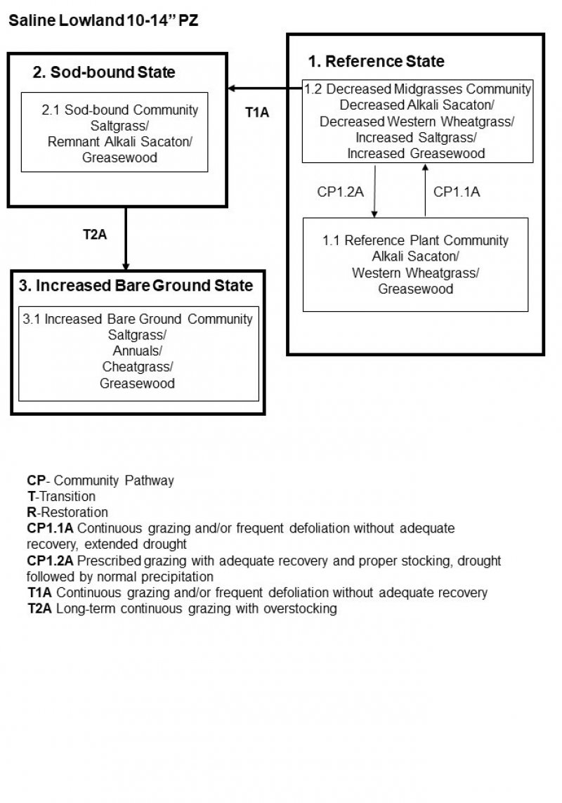 Model diagram