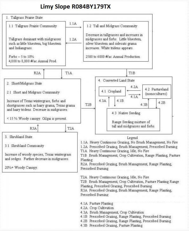 Model diagram