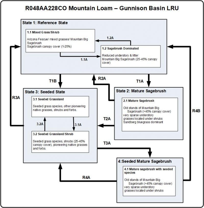Model diagram
