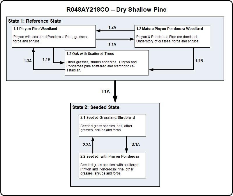 Model diagram