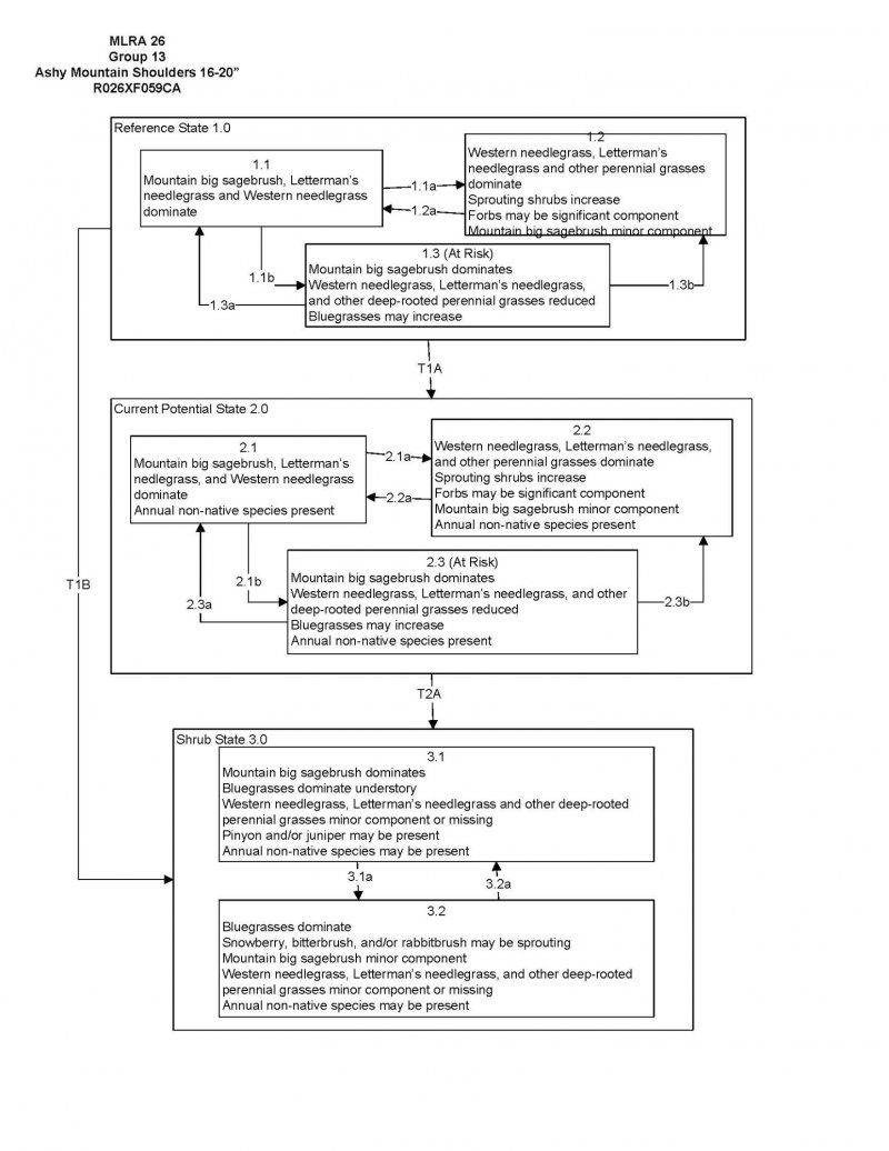 Model diagram