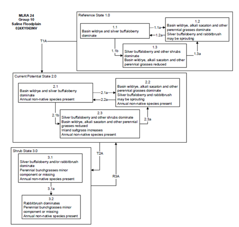 Model diagram
