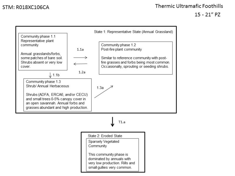 Model diagram