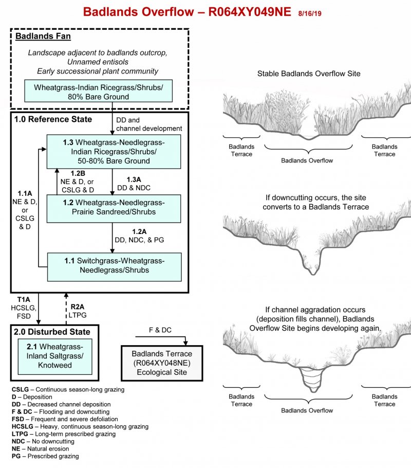 Model diagram
