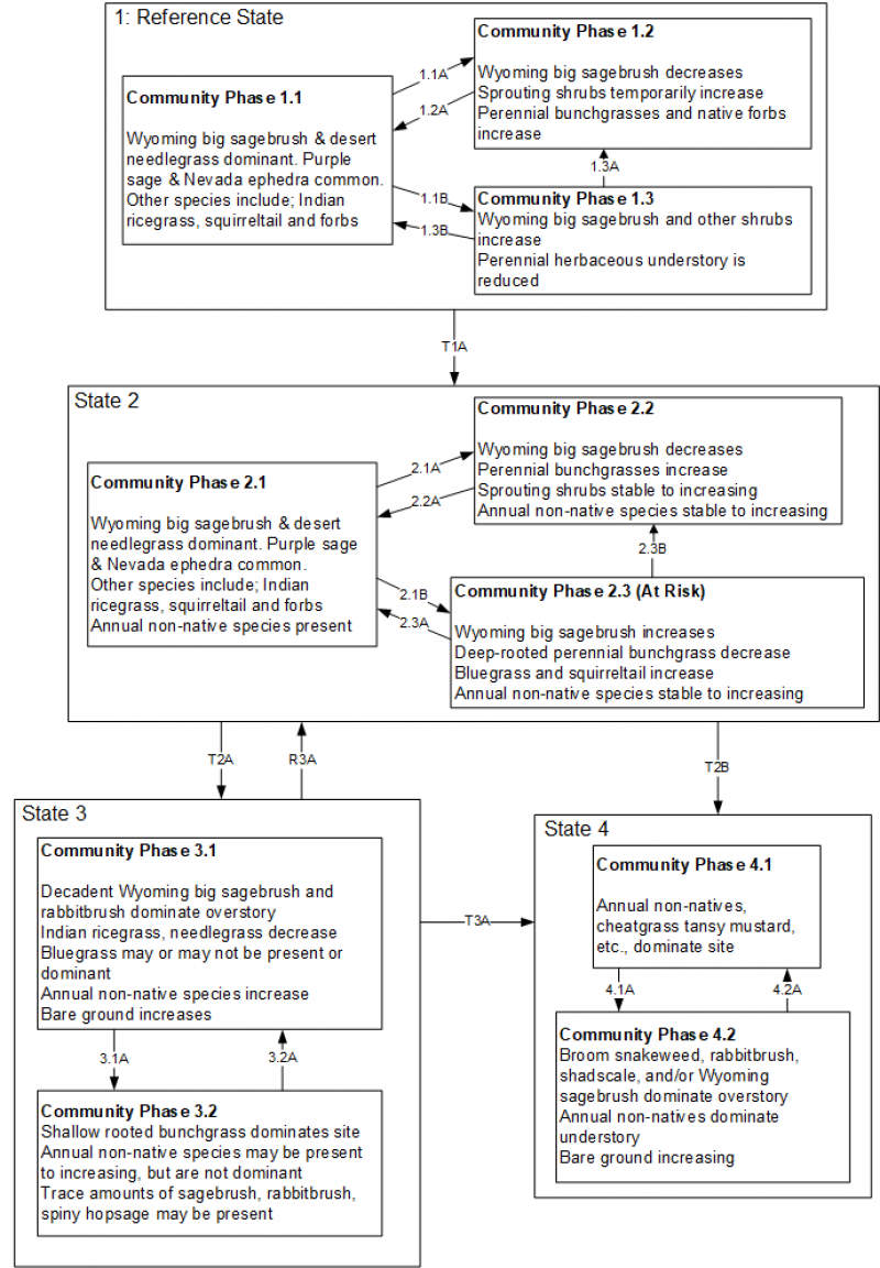 Model diagram
