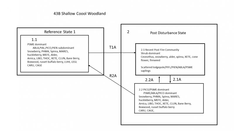 Model diagram