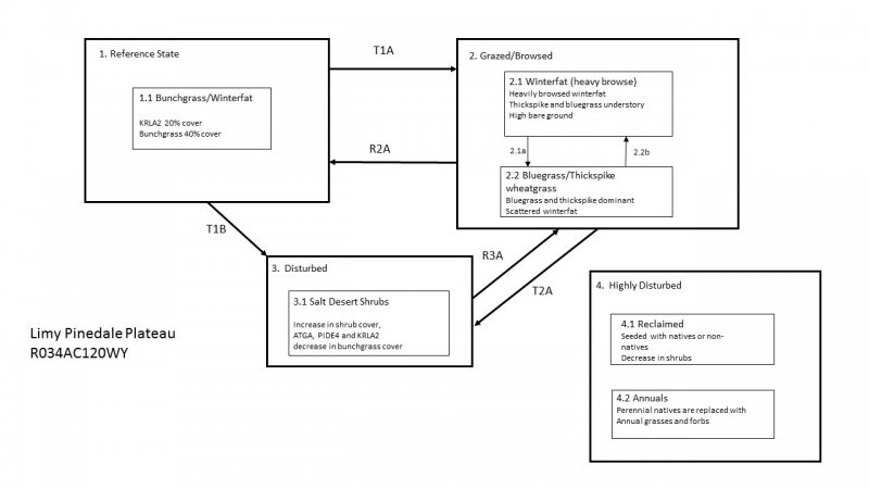 Model diagram