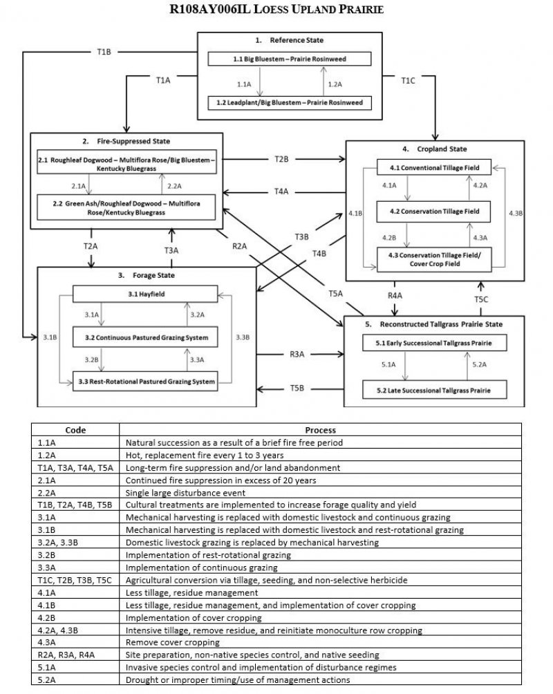 Model diagram