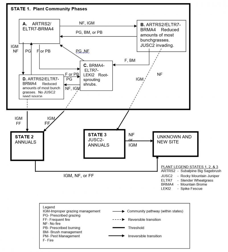 Model diagram