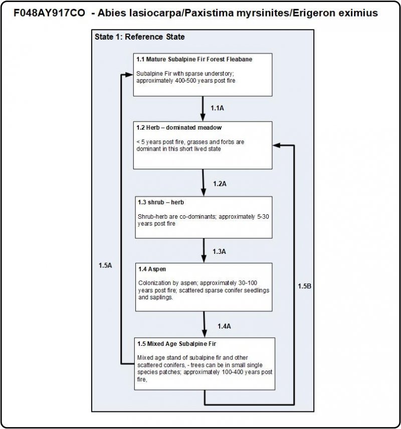 Model diagram