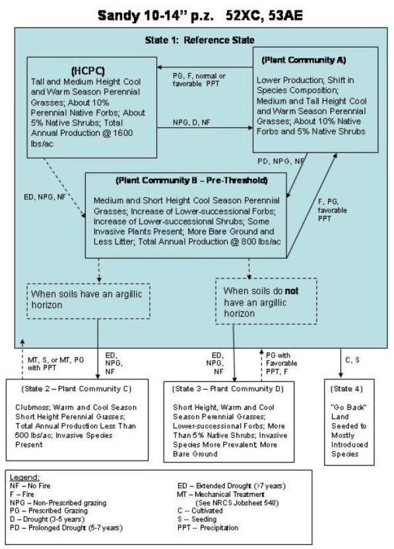 Model diagram