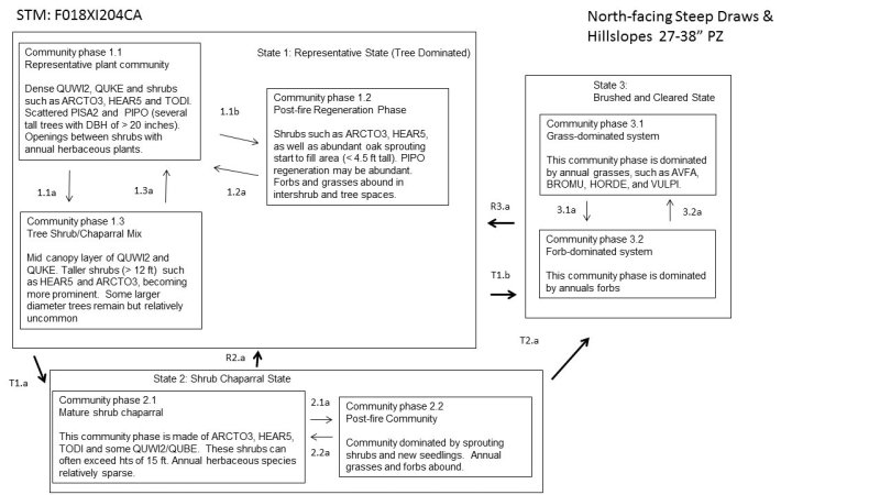 Model diagram