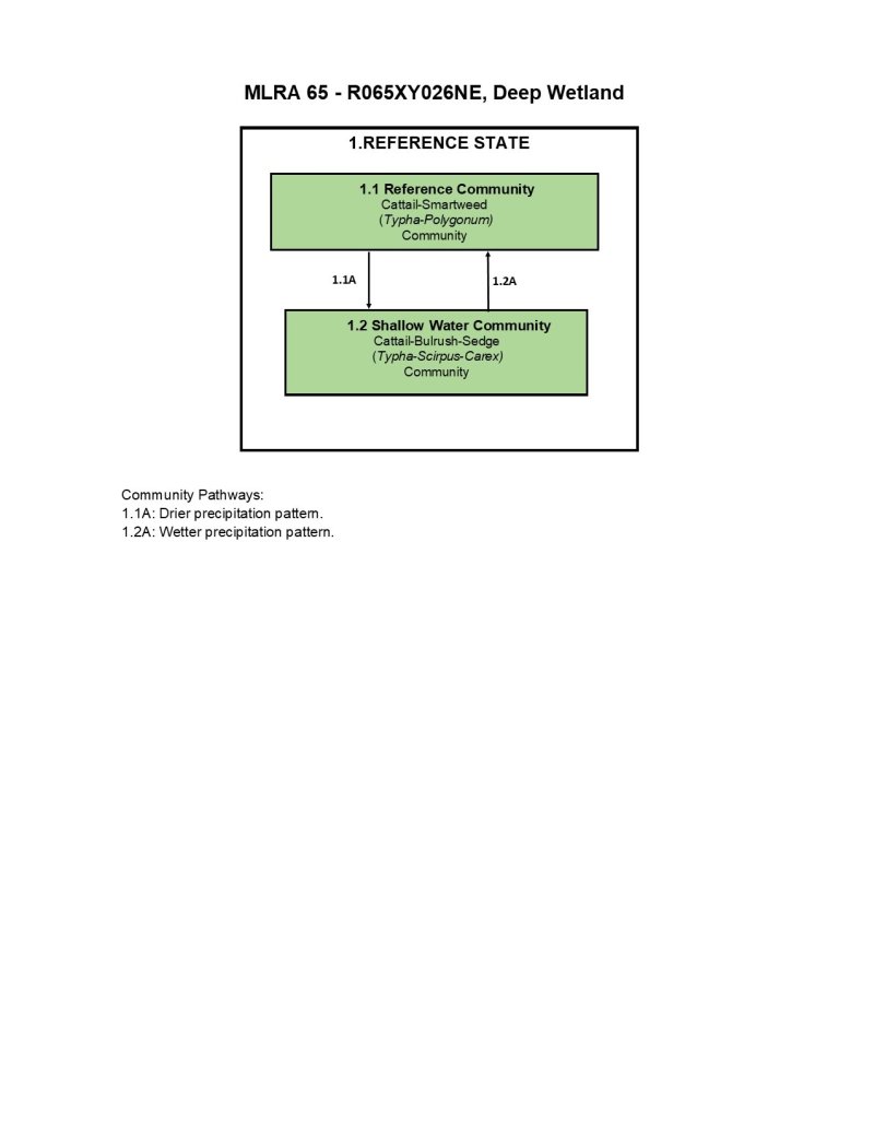 Model diagram