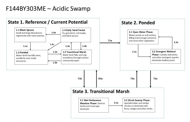 Model diagram