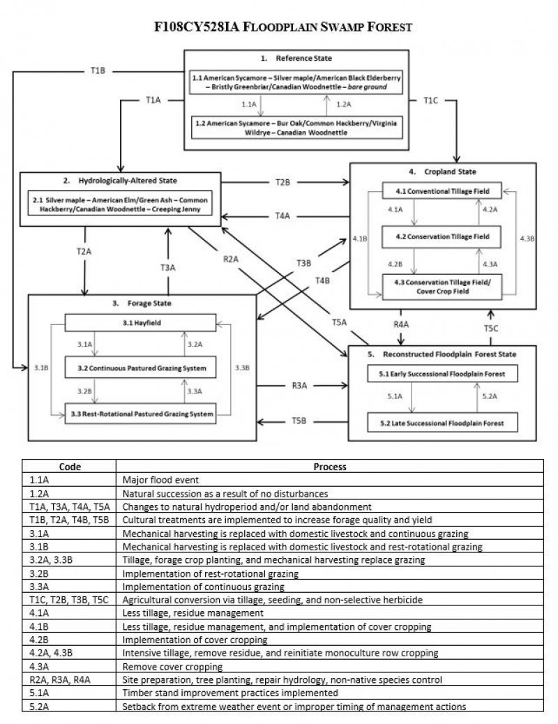 Model diagram