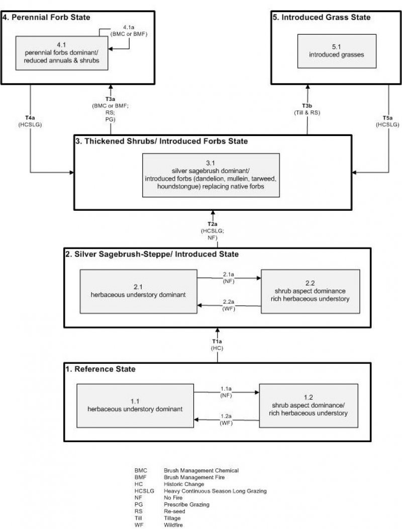 Model diagram