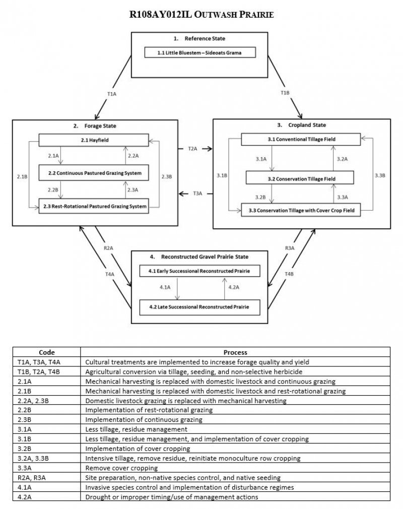 Model diagram