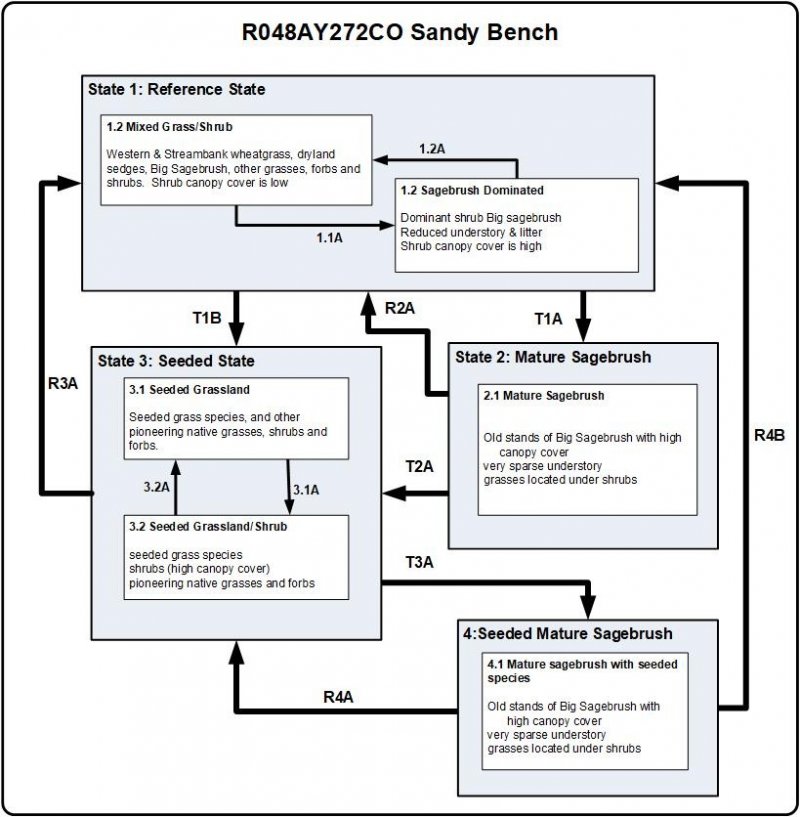 Model diagram