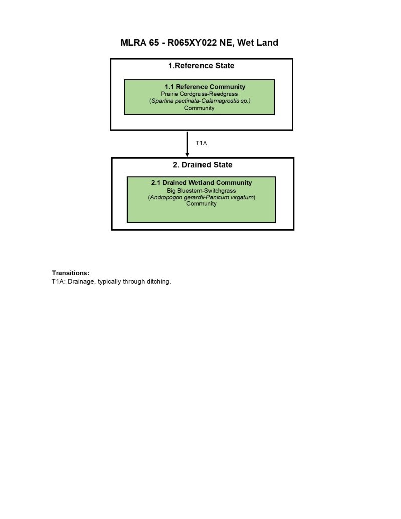 Model diagram