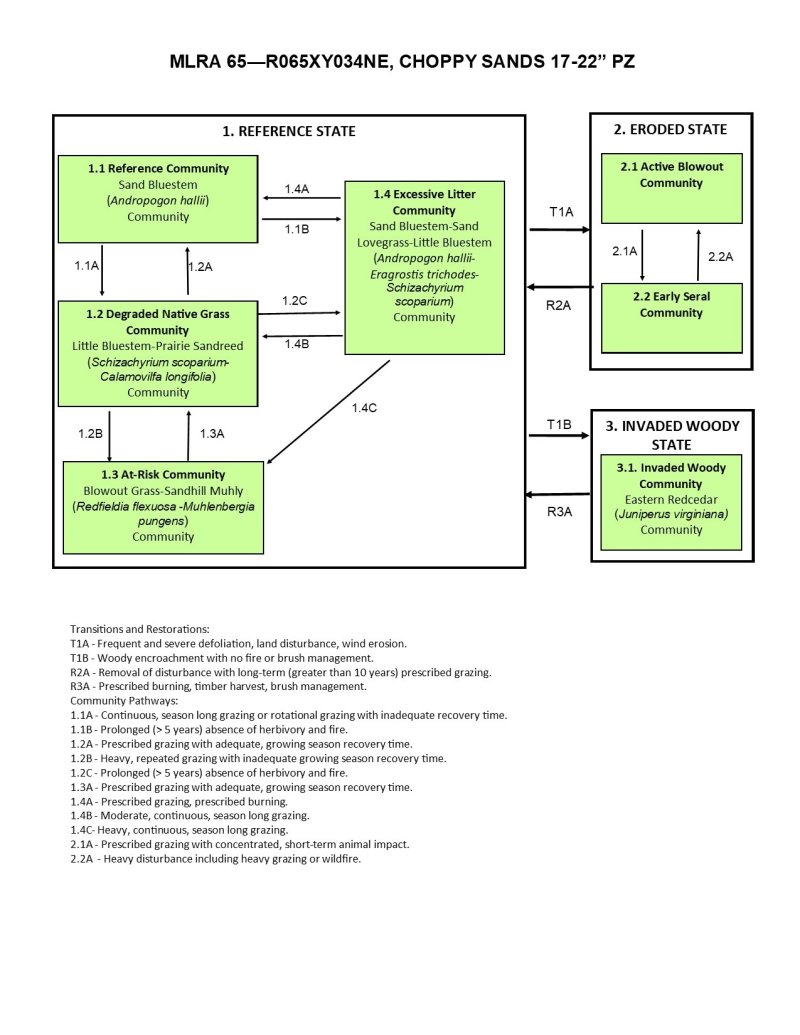 Model diagram