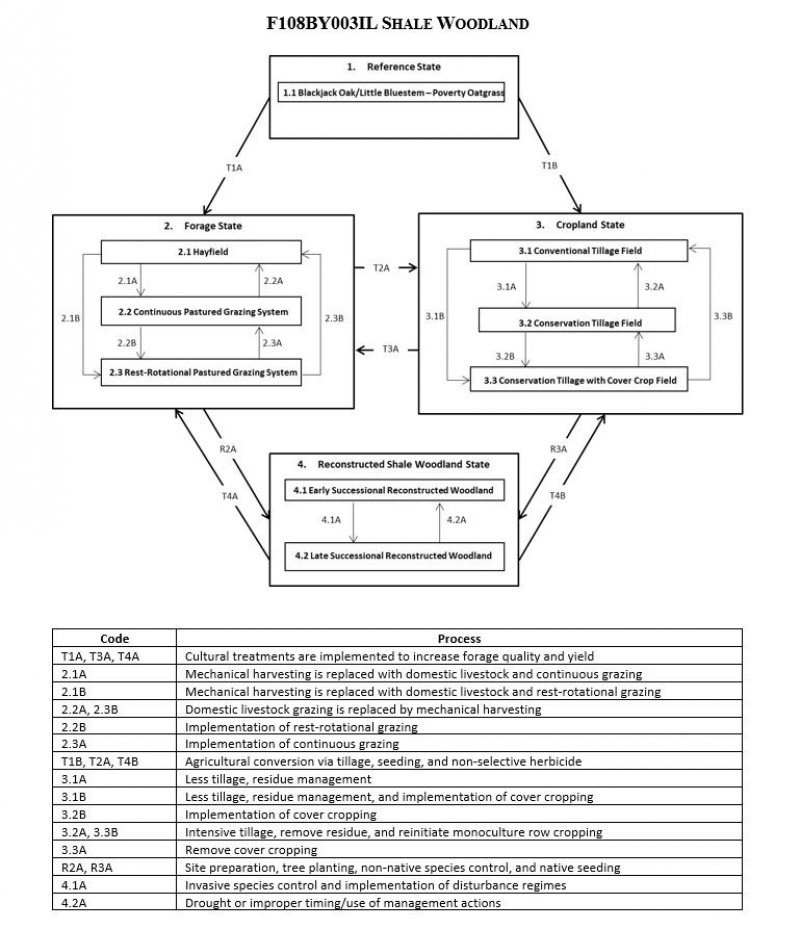 Model diagram