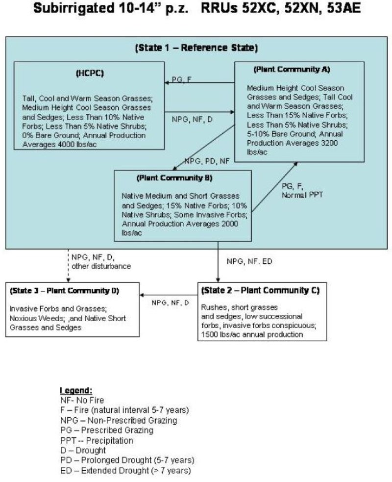 Model diagram