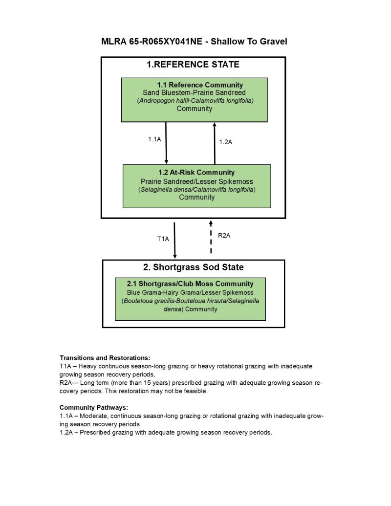 Model diagram