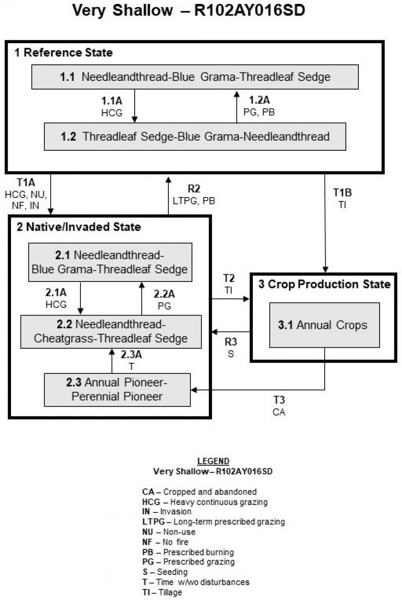 Model diagram