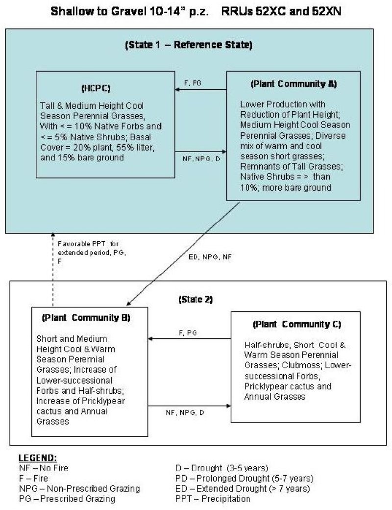 Model diagram