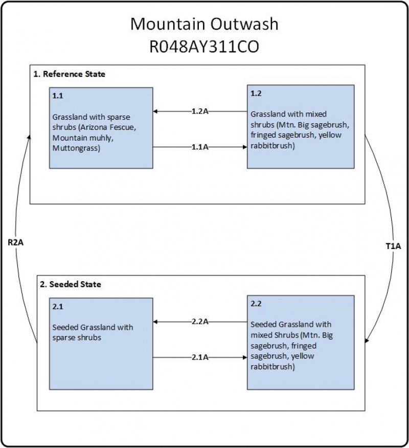 Model diagram