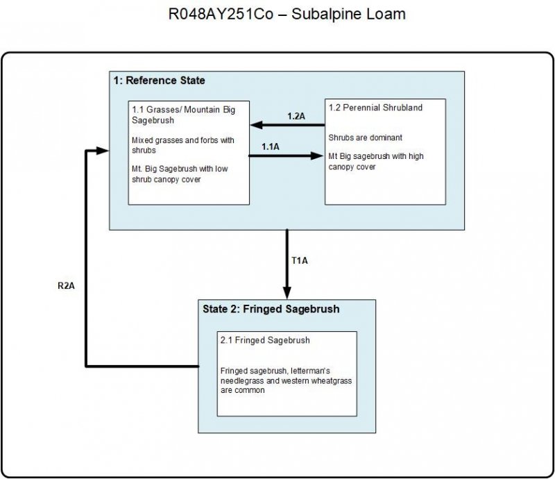 Model diagram