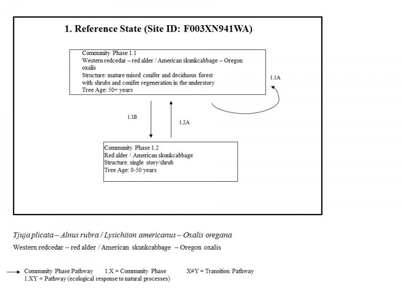 Model diagram