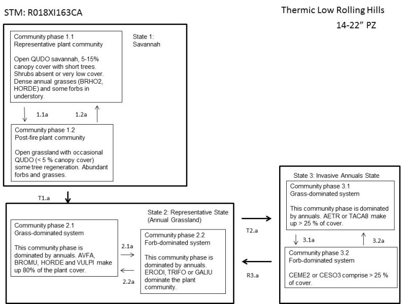Model diagram