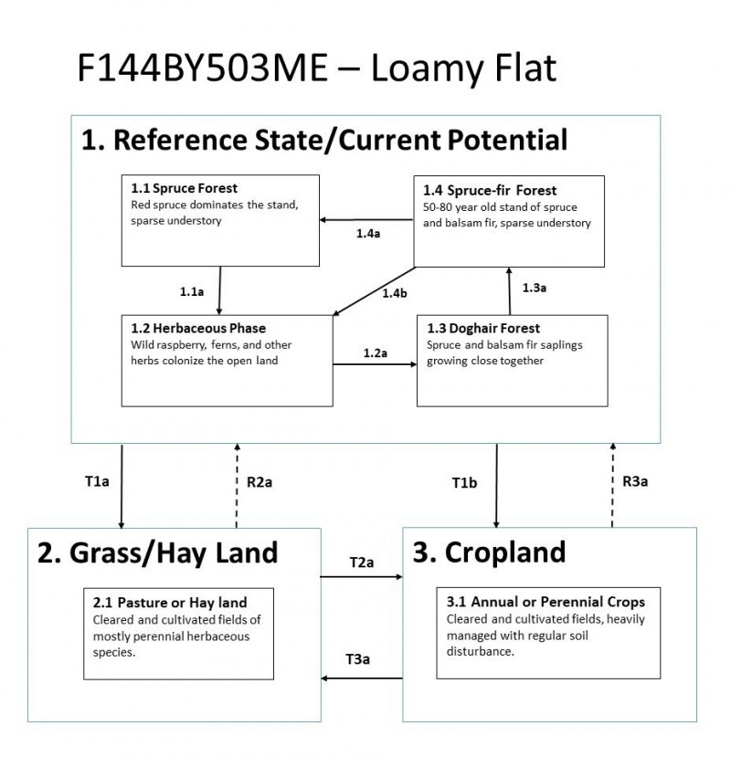 Model diagram