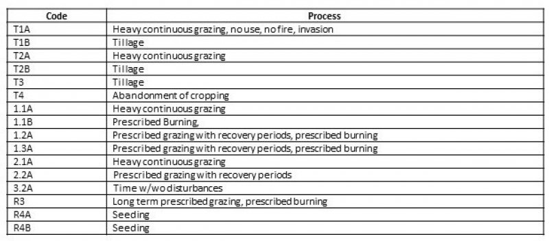 Model diagram