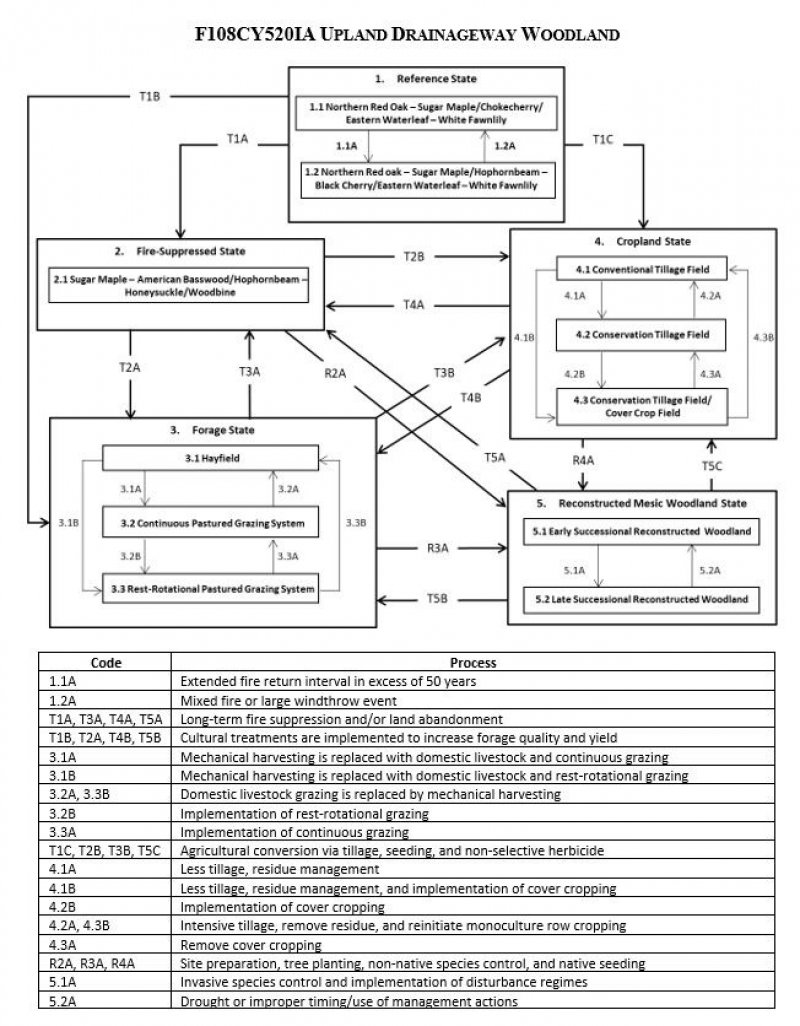 Model diagram
