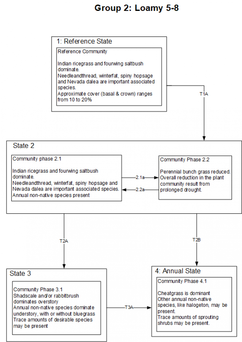 Model diagram