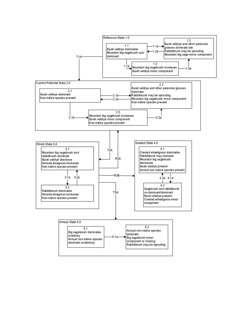 Model diagram