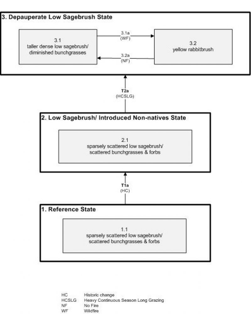 Model diagram