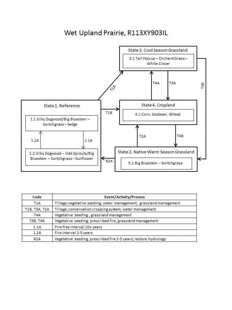 Model diagram